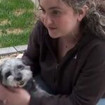 Një grua nga Kalifornia ribashkohet me qenin që i kishte humbur para pesë vjetësh