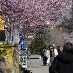 E martë me intervale dielli dhe riga shiu në disa zona