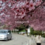 E mërkurë me kthjellime dhe erë të lehtë, temperaturat deri në 15°C