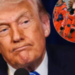 Astronautët kthehen në Tokë, Trump: Hapi tjetër një udhëtim në Mars