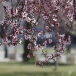 Mot i ngrohtë, temperaturat deri në 18 gradë