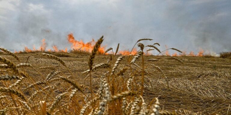 Rusia shënjestron të lashtat ukrainase me bomba ndezëse për t’i djegur të korrat