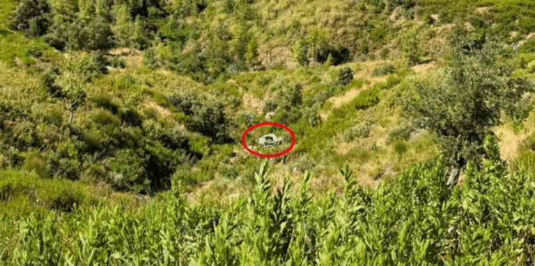 Tragjedi në Turqi, vetura bie në përrua – pesë të vdekur